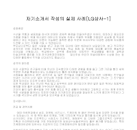자기소개서 작성사례(엘지상사1) 자기소개서 작성사례(엘지상사1)